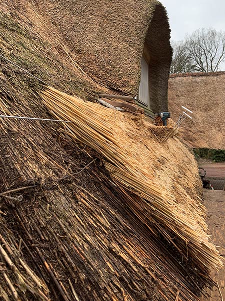 Reetdach-Aufbau, Reetdachdeckerei David Heidenstedt Schneverdingen