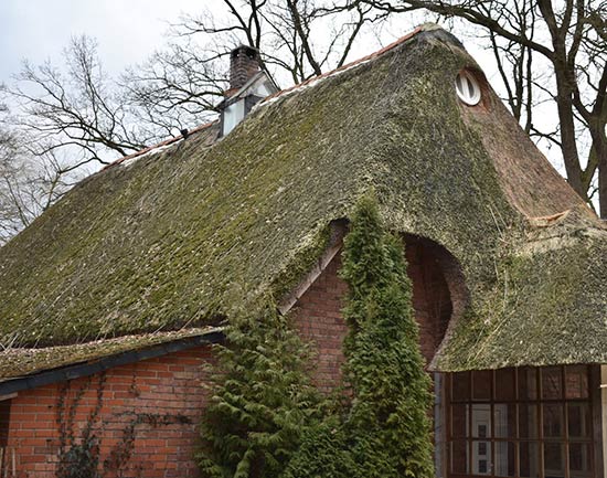 Reetdach Geschichte